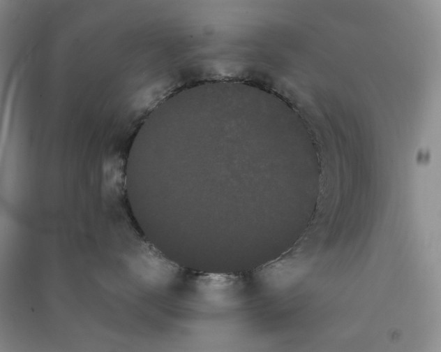 X0000090860672200708171606