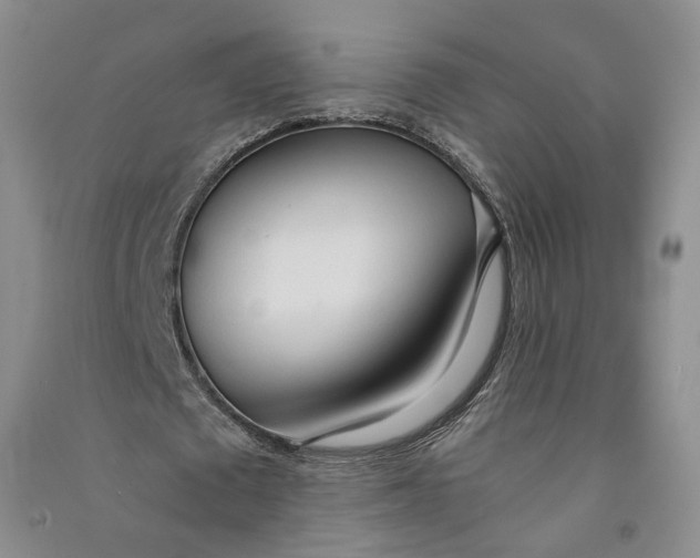 X0000090860673200708171606