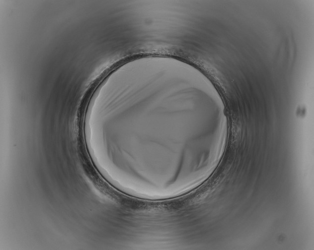 X0000090860674200708171606