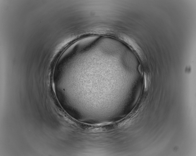X0000090860675200708171606