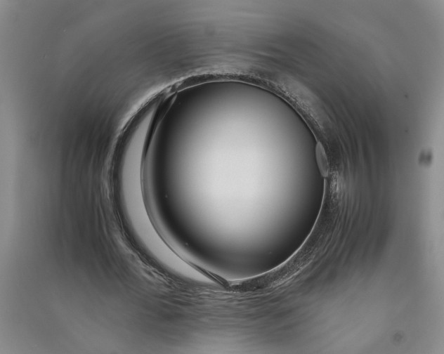 X0000090860676200708171606