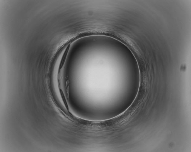 X0000090860677200708171605