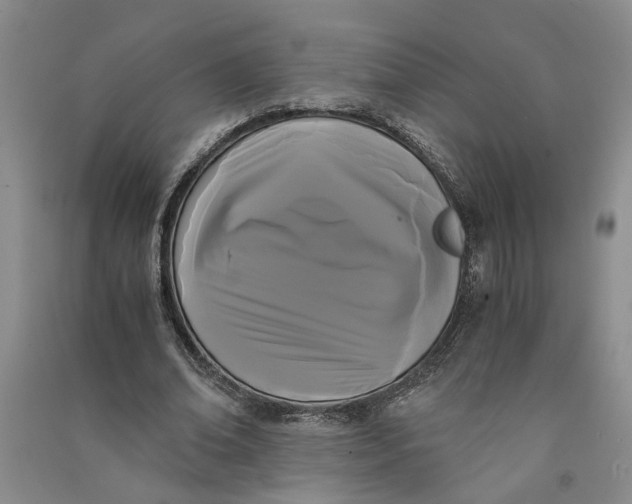 X0000090860678200708171605