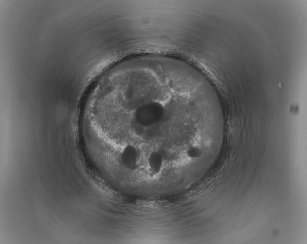 X0000090860679200708171605