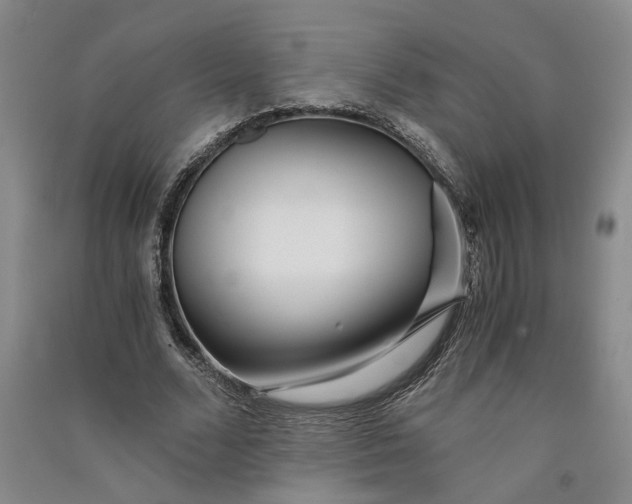X0000090860680200708171605