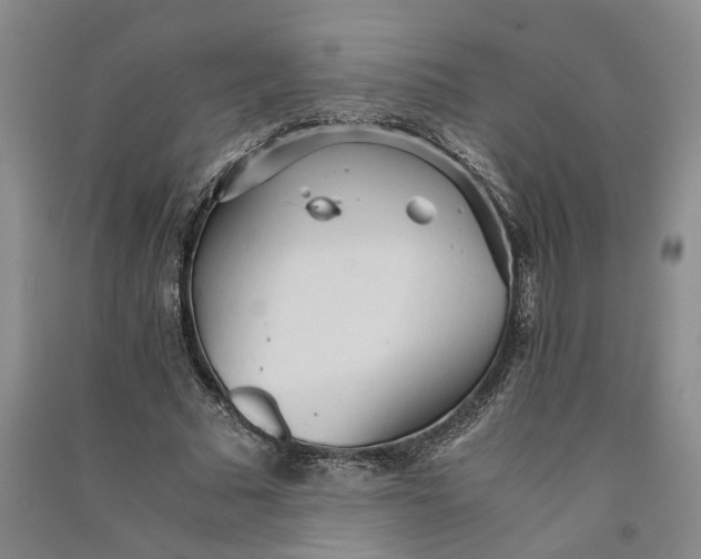 X0000090860681200708171605