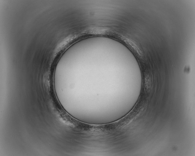 X0000090860682200708171605