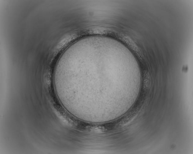 X0000090860683200708171605