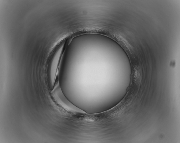 X0000090860684200708171605