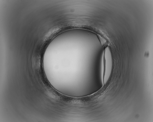 X0000090860685200708171605