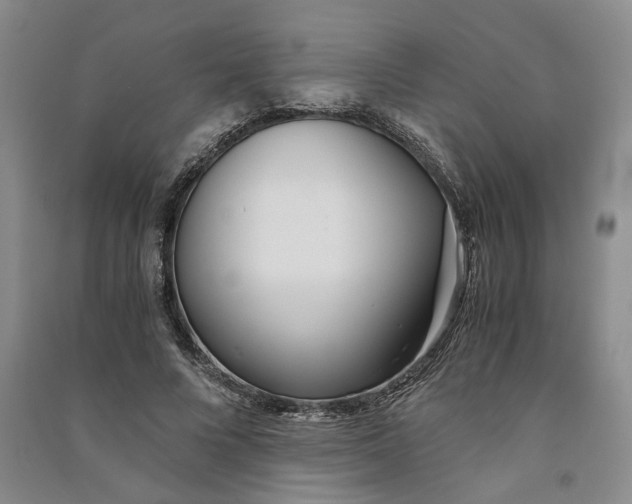 X0000090860688200708171605