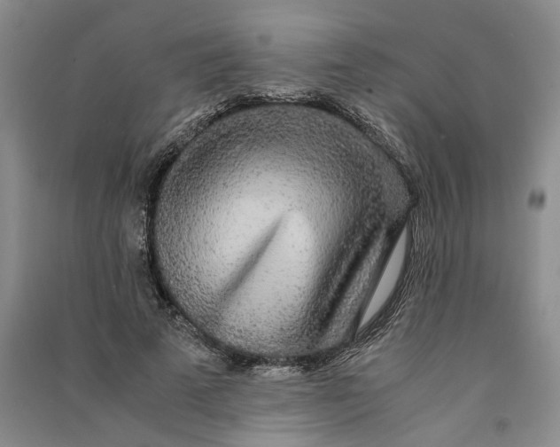 X0000090860689200708171605
