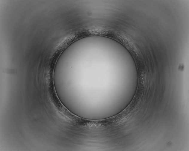 X0000090860690200708171605