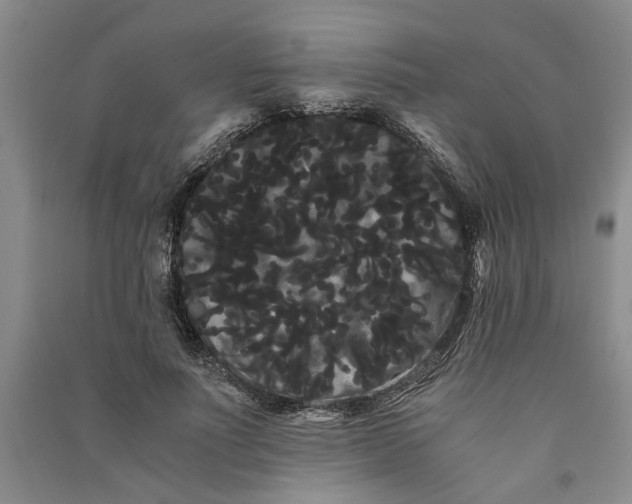 X0000090860691200708171605