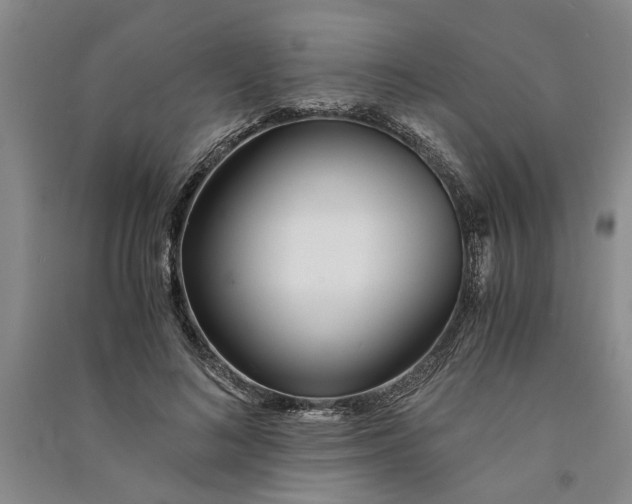 X0000090860692200708171605