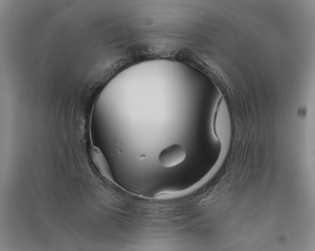 X0000090860693200708171605