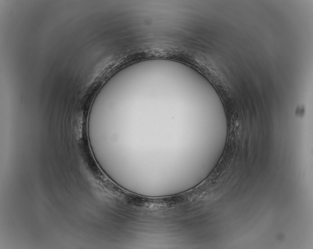 X0000090860694200708171605