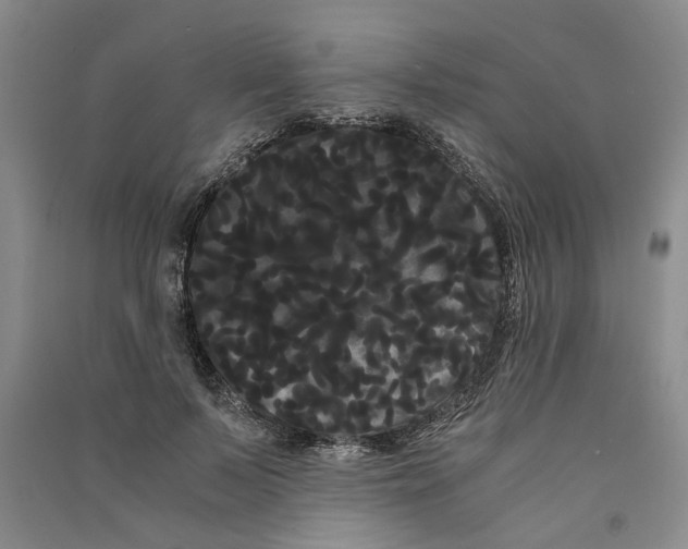 X0000090860695200708171605