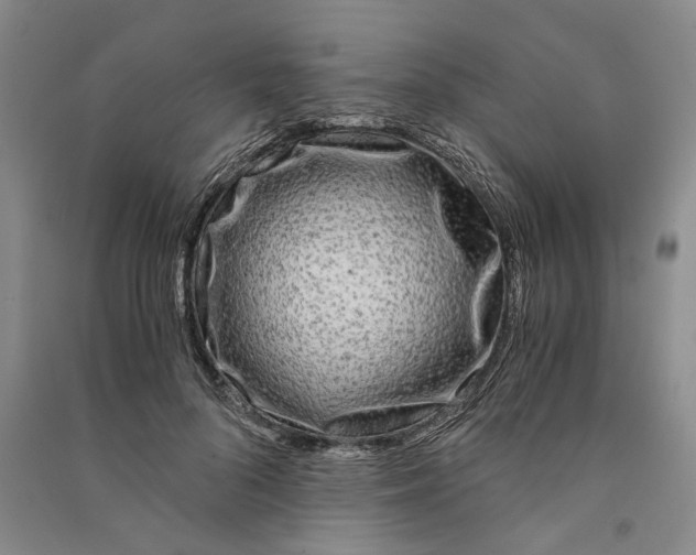 X0000090860696200708171605