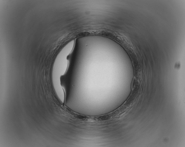 X0000090860697200708171605