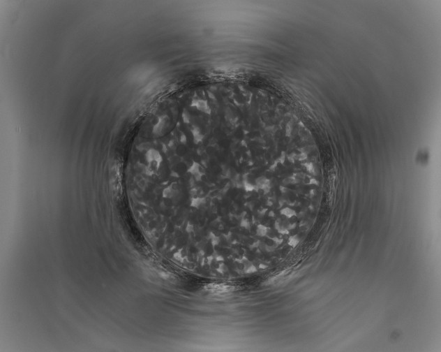 X0000090860699200708171605