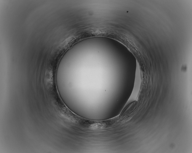 X0000090860700200708171605