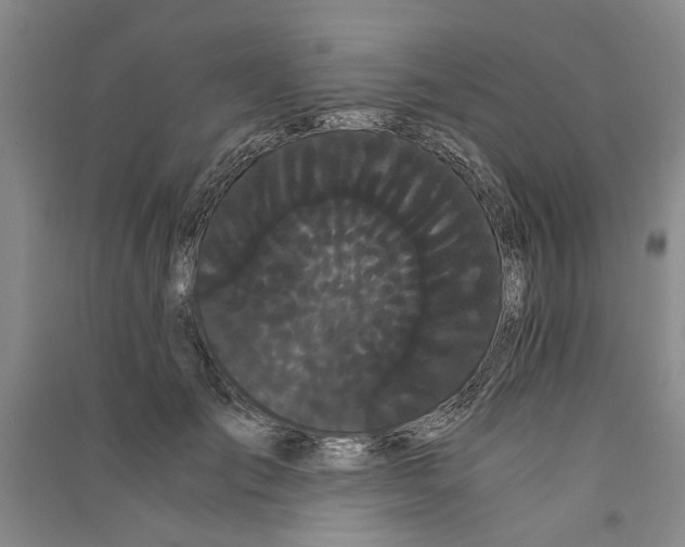 X0000090860701200708171605