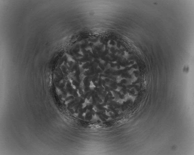 X0000090860703200708171605