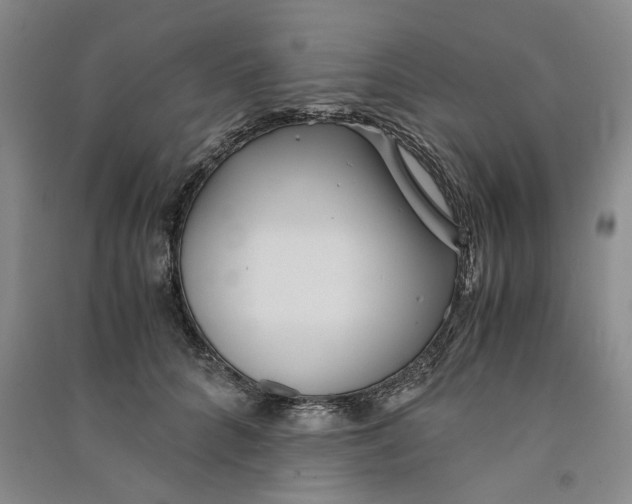 X0000090860704200708171605