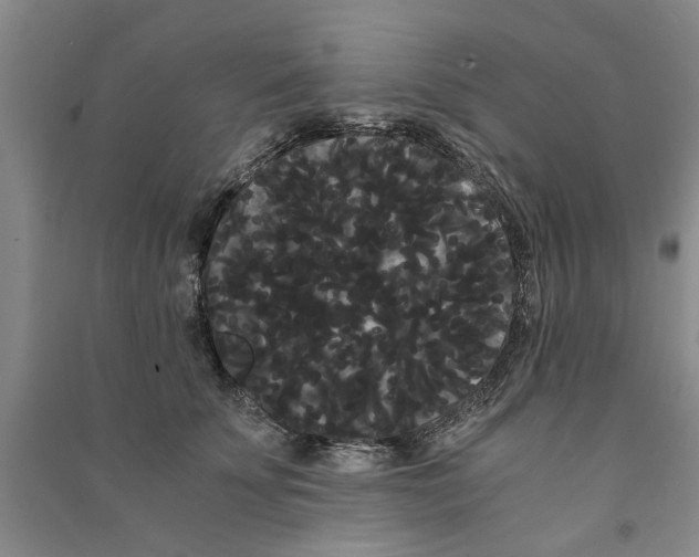 X0000090860707200708171605