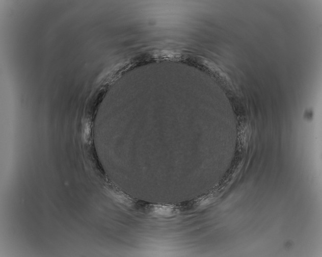 X0000090860709200708171605