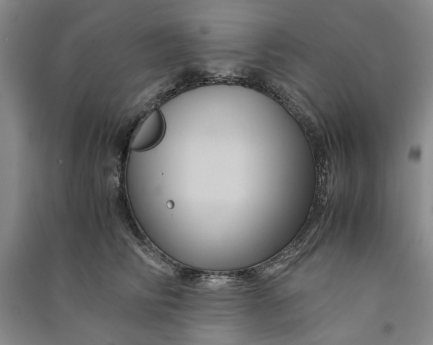 X0000090860710200708171605