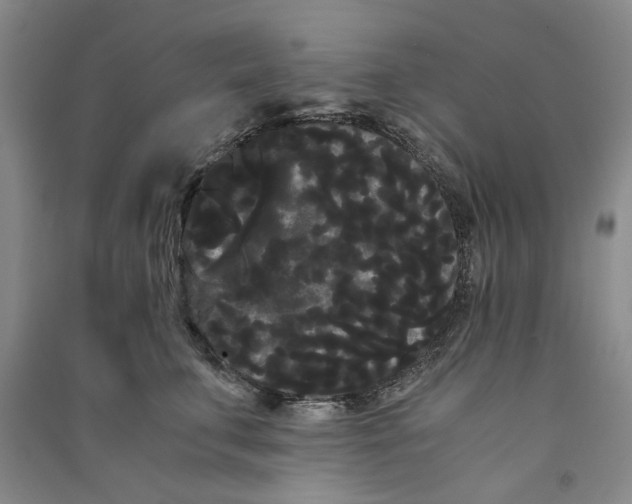 X0000090860711200708171605