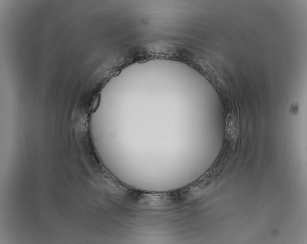 X0000090860713200708171605