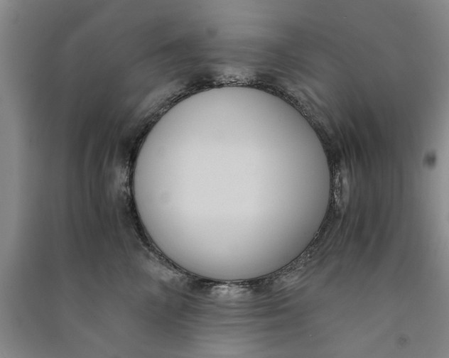 X0000090860714200708171605