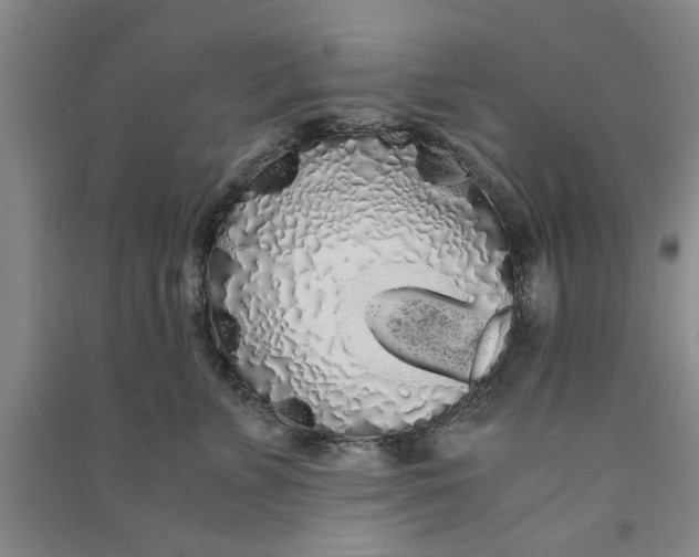 X0000090860715200708171605