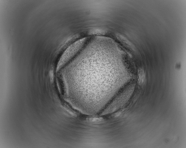 X0000090860716200708171605