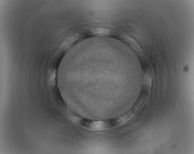X0000090860717200708171605