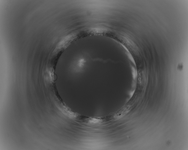 X0000090860718200708171605