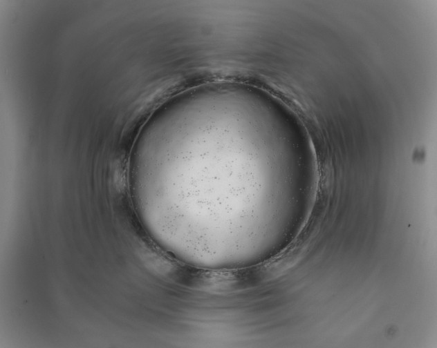 X0000090860719200708171605