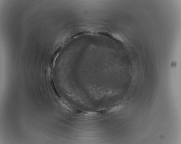 X0000090860720200708171605