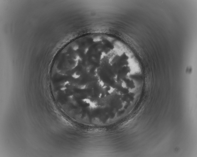 X0000090860721200708171604