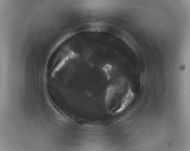 X0000090860722200708171604
