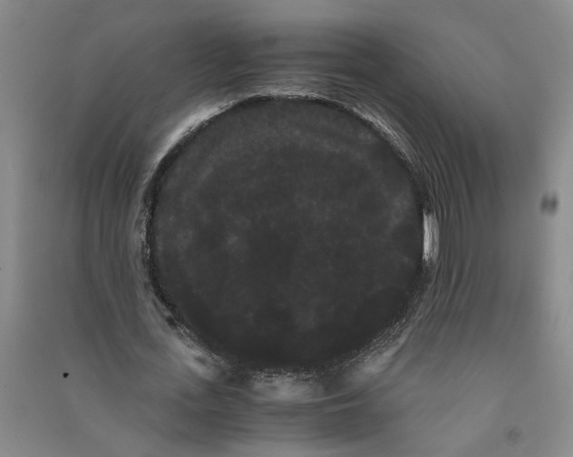 X0000090860723200708171604