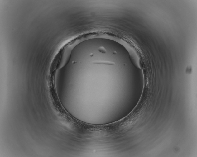 X0000090860724200708171604