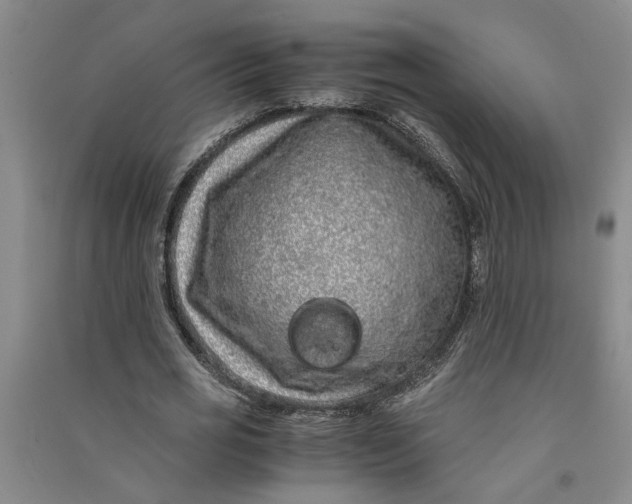 X0000090860725200708171604