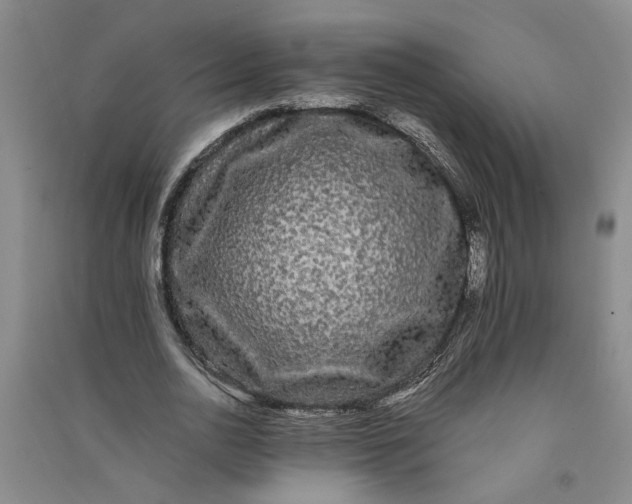 X0000090860726200708171604