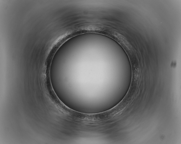 X0000090860727200708171604