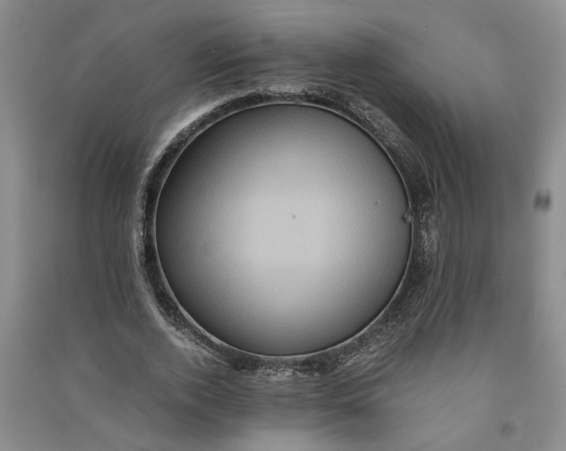 X0000090860728200708171604