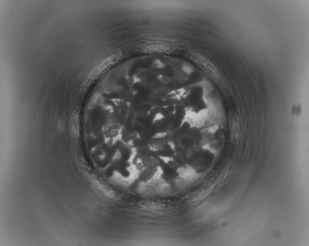 X0000090860729200708171604